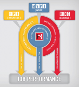 hogan assessment