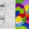 Left-Brain-vs.-Right-Brain1